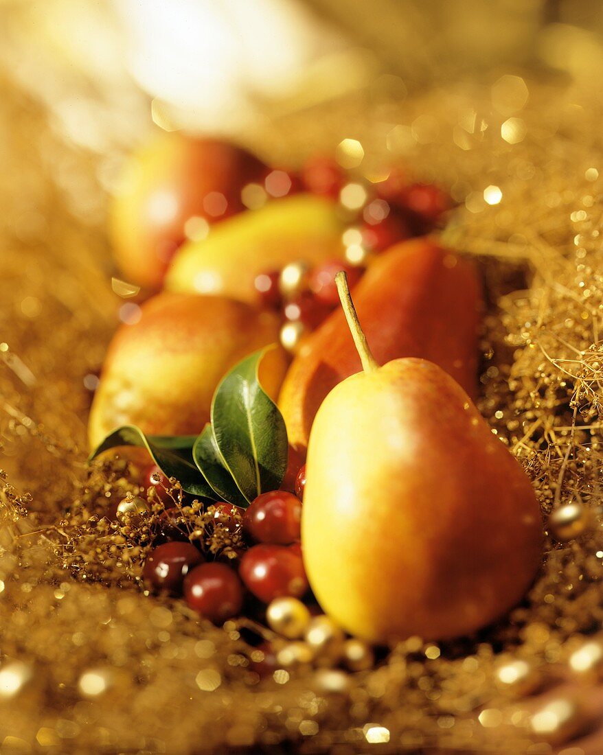 Pears and Cranberries on a Gold Background