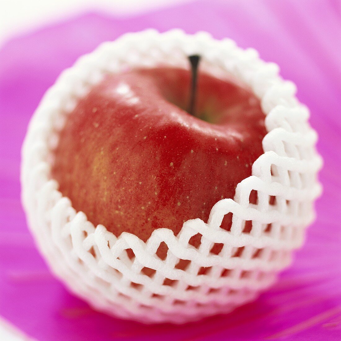 Red apple in polystyrene net