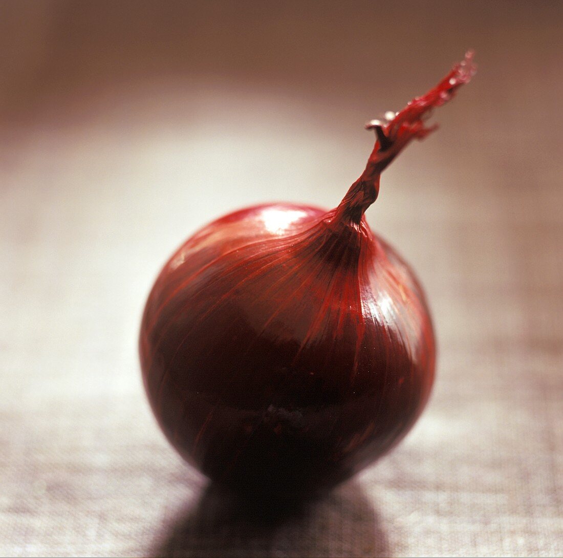 A Single Whole Red Onion