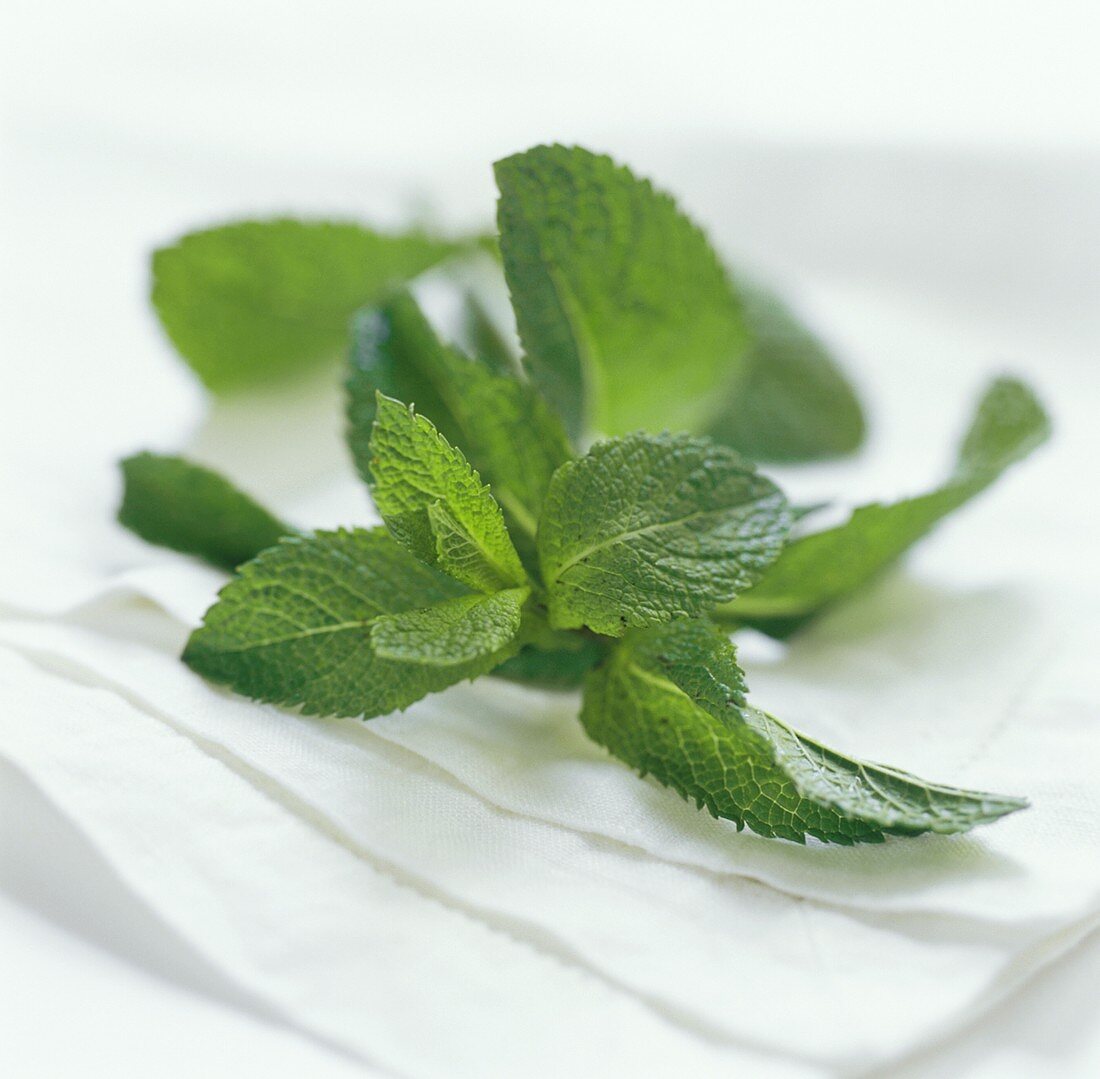 A Sprig of Mint