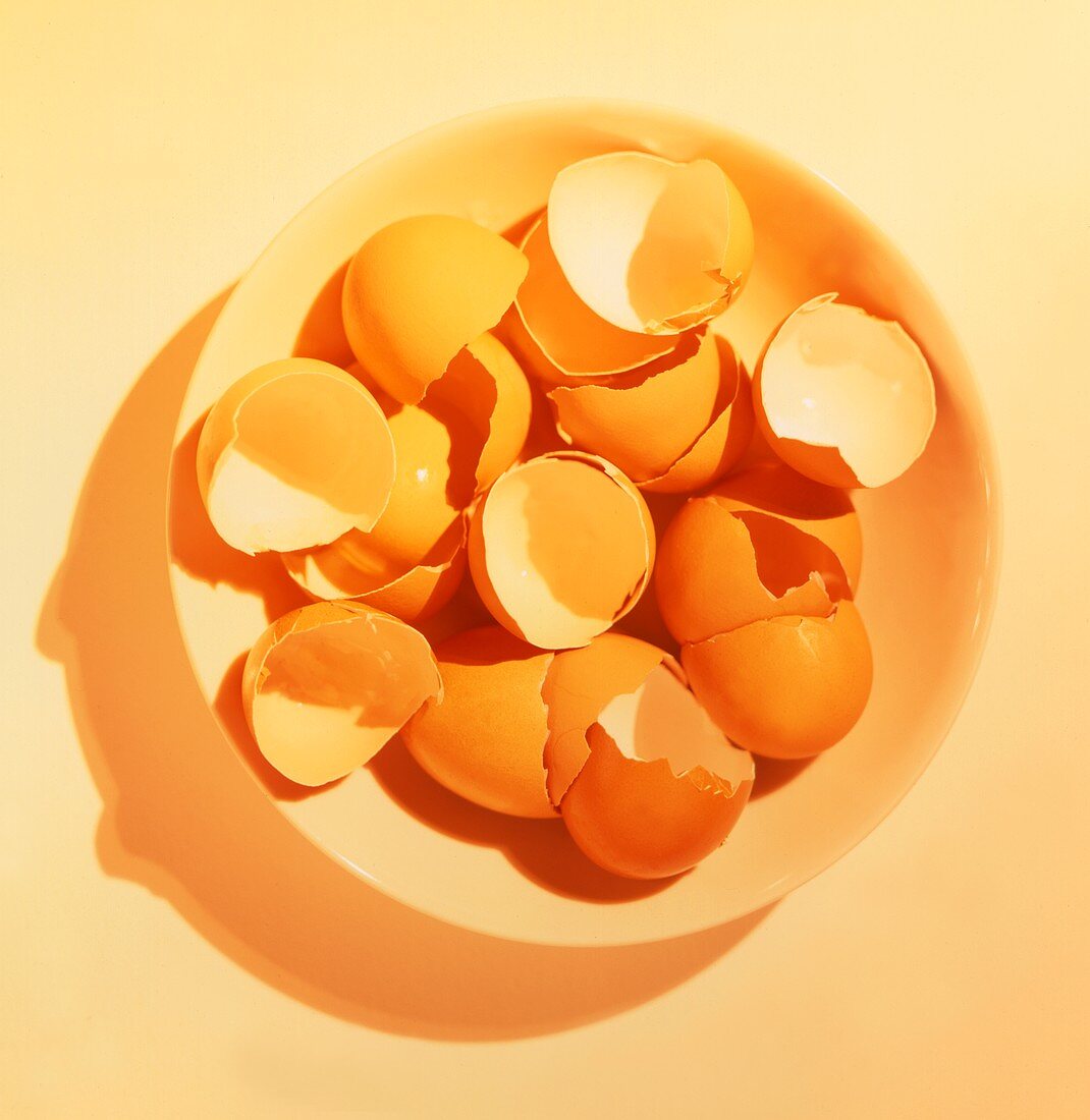 Braune Eierschalen auf gelbem Teller