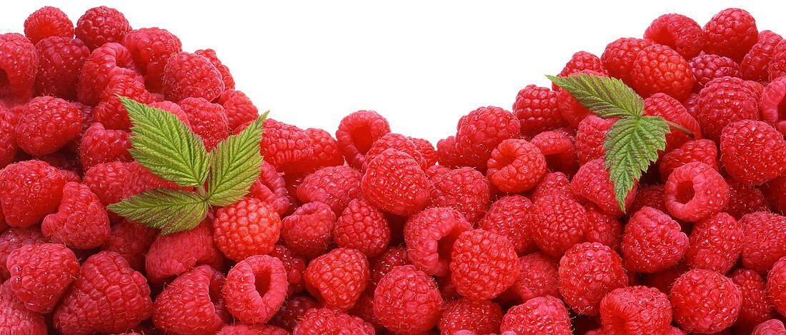 Viele frische Himbeeren mit Blättern