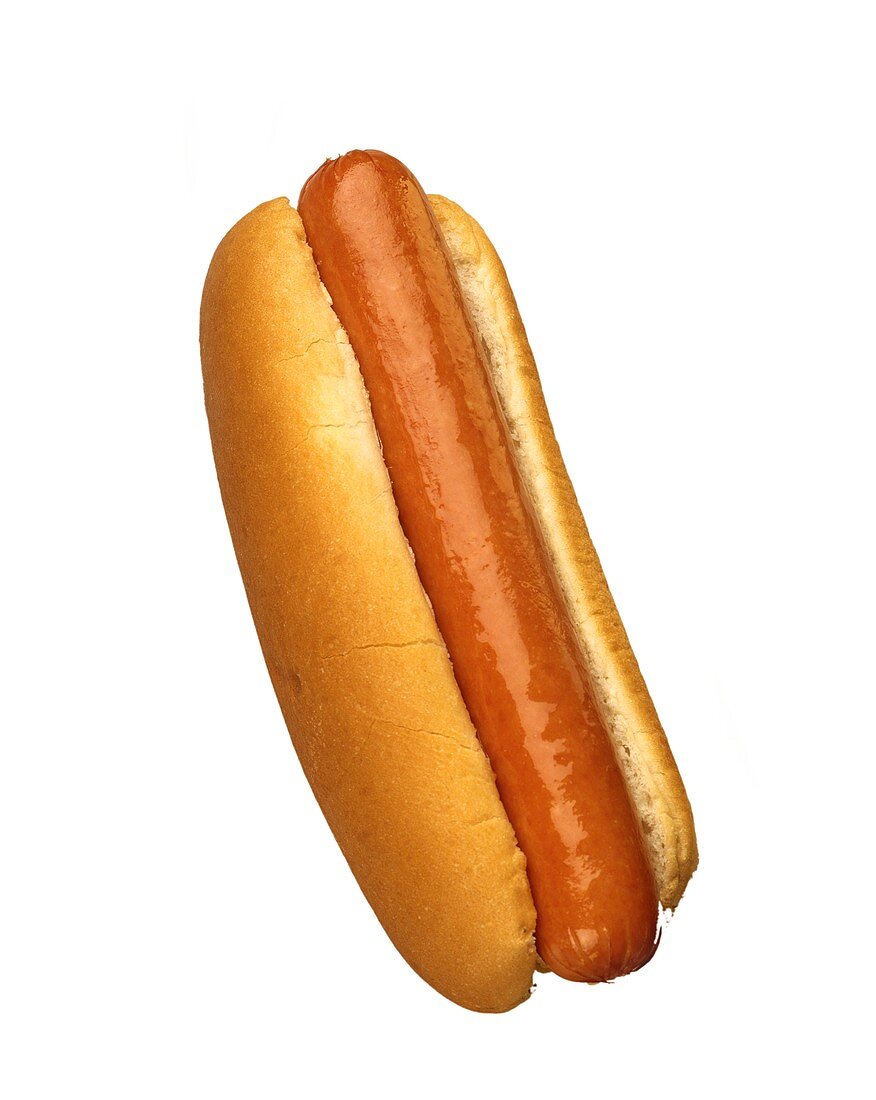 Hot Dog on Bun