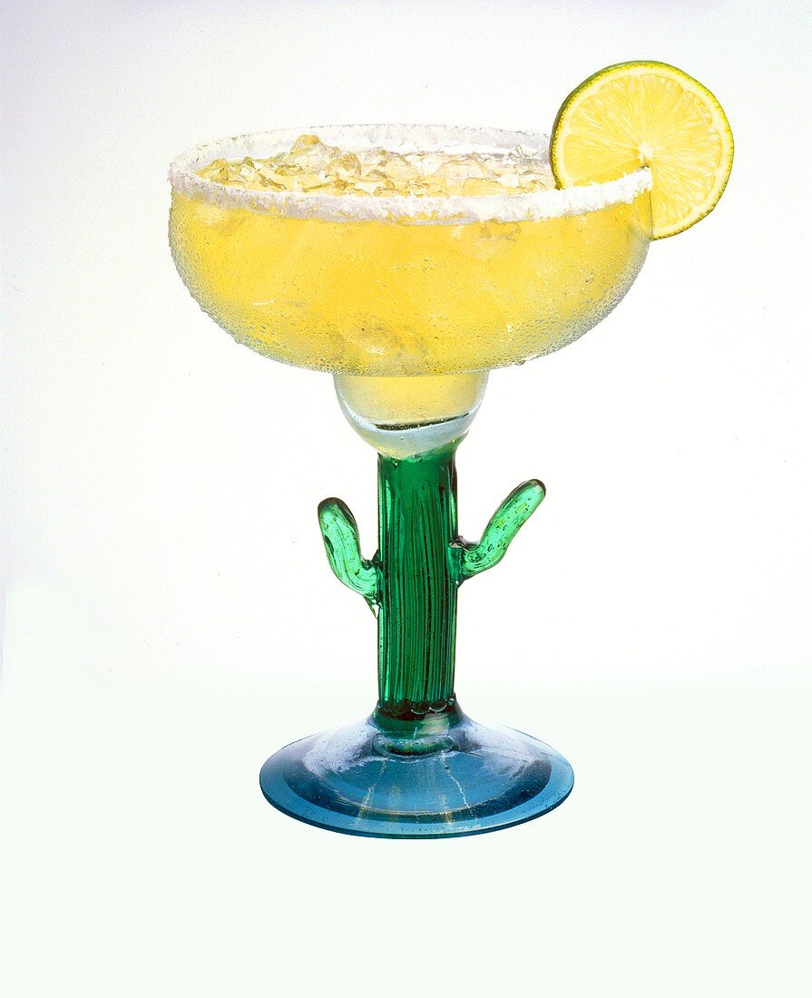 Margarita im Kaktusglas mit Salzrand und Limette