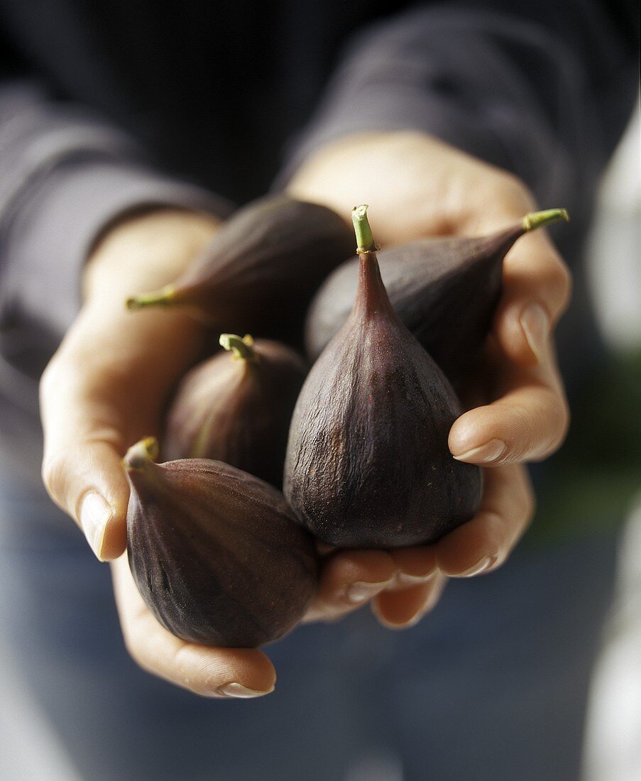 Hnads Holding Fresh Figs