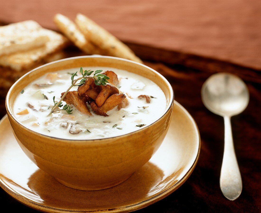 Cream of mushroom soup