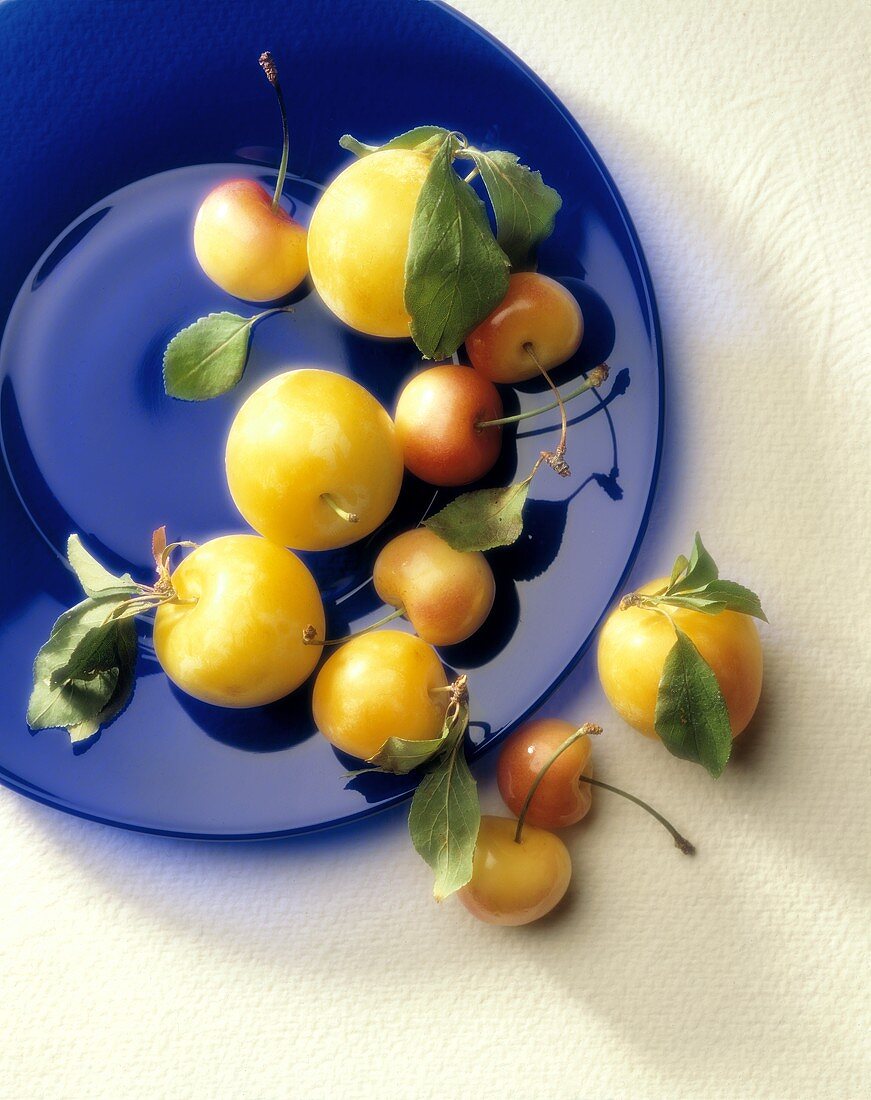 Ranier Cherries and Plums on a Cobalt Blue Plate