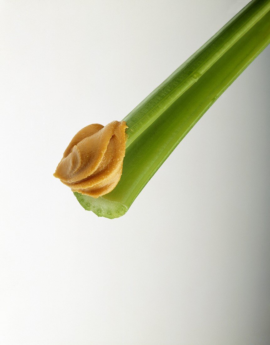 A Celery Stalk with Peanut Butter