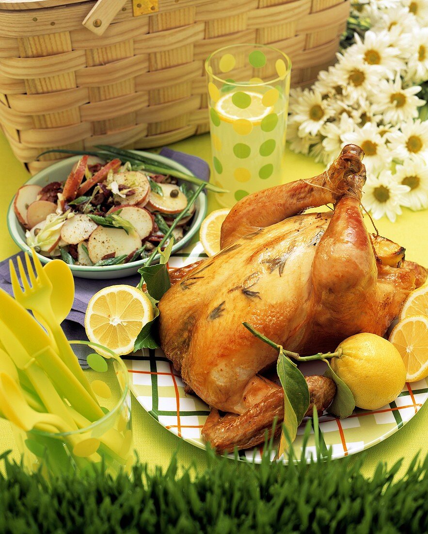 Picnic with Roasted Lemon Chicken and Potato Salad