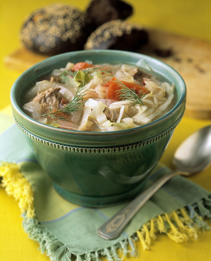 Gemüsesuppe mit Rindfleisch und Fenchel