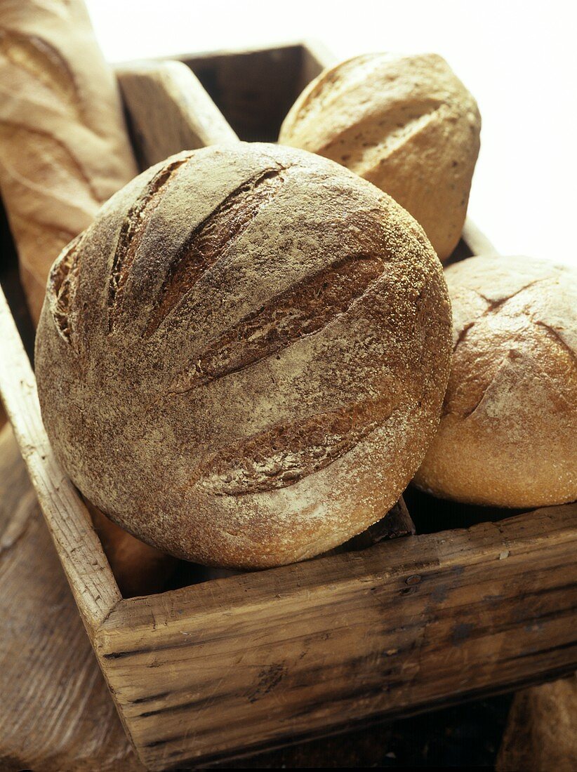 An Assortment of Freshly Baked Breads