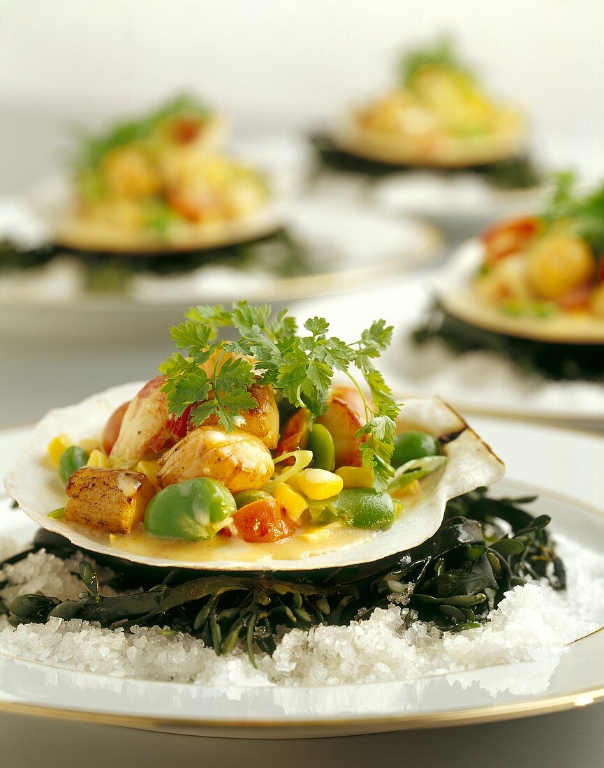 Sauteed Scallops with Succotash on a Scallop Shell