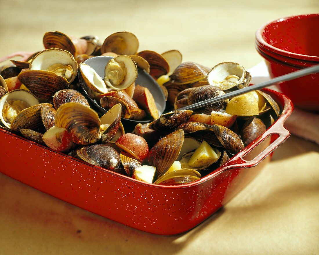 Muscheln mit Kartoffeln in rotem Bräter