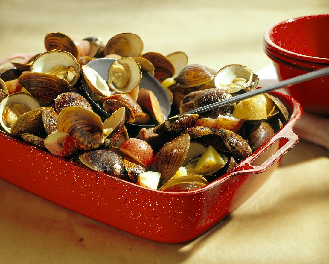 Steamed Clams with Kielbasa and Potatoes in Red Enamel Casserole
