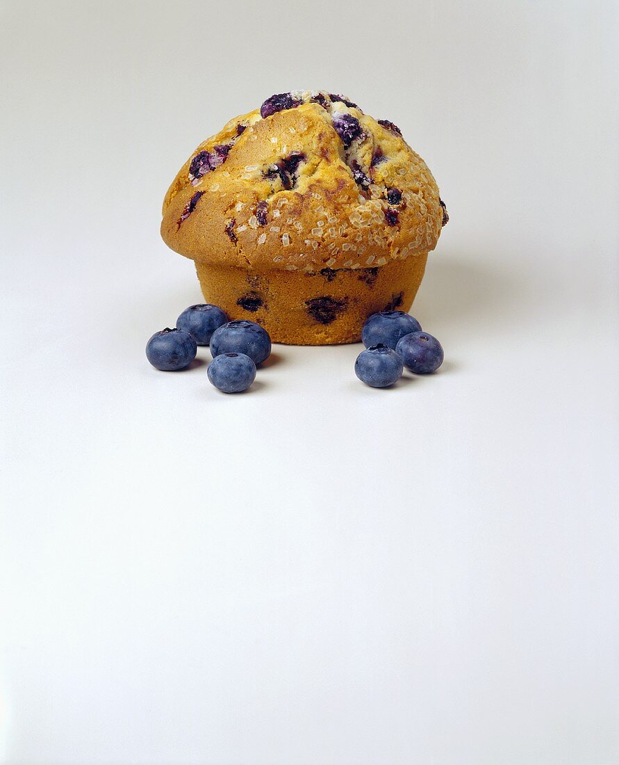 Blueberry Muffin with Blueberries