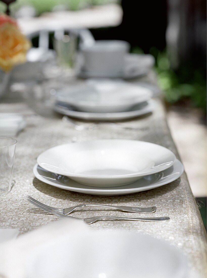 Place Settings on an Outdoor Table