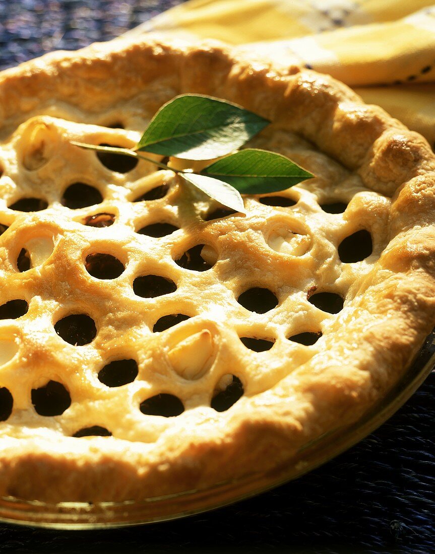Blueberry cream cheese pie (USA)