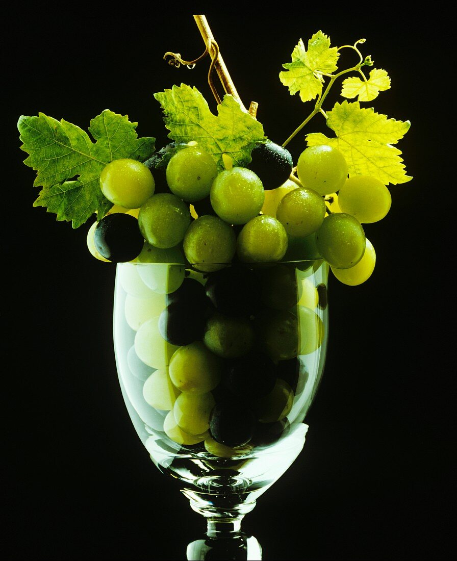 Blaue & grüne Weintrauben in Weinglas, Symbolbild 'Wein'