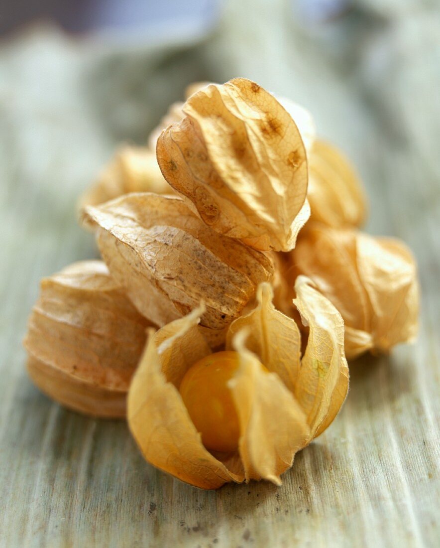 Several Physalis