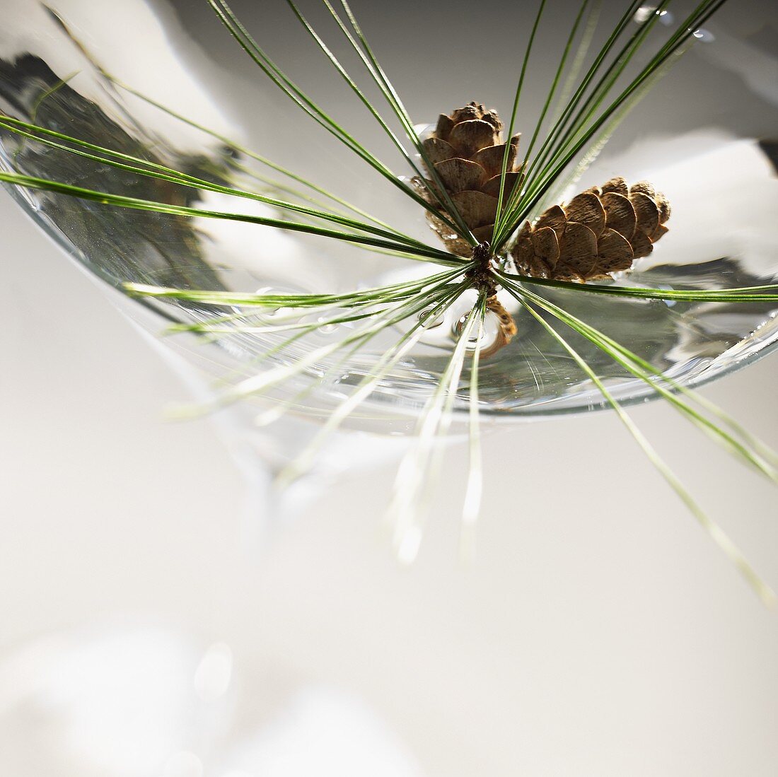 A Martini Close Up with a Sprig of Pine and Mini Pine Cones