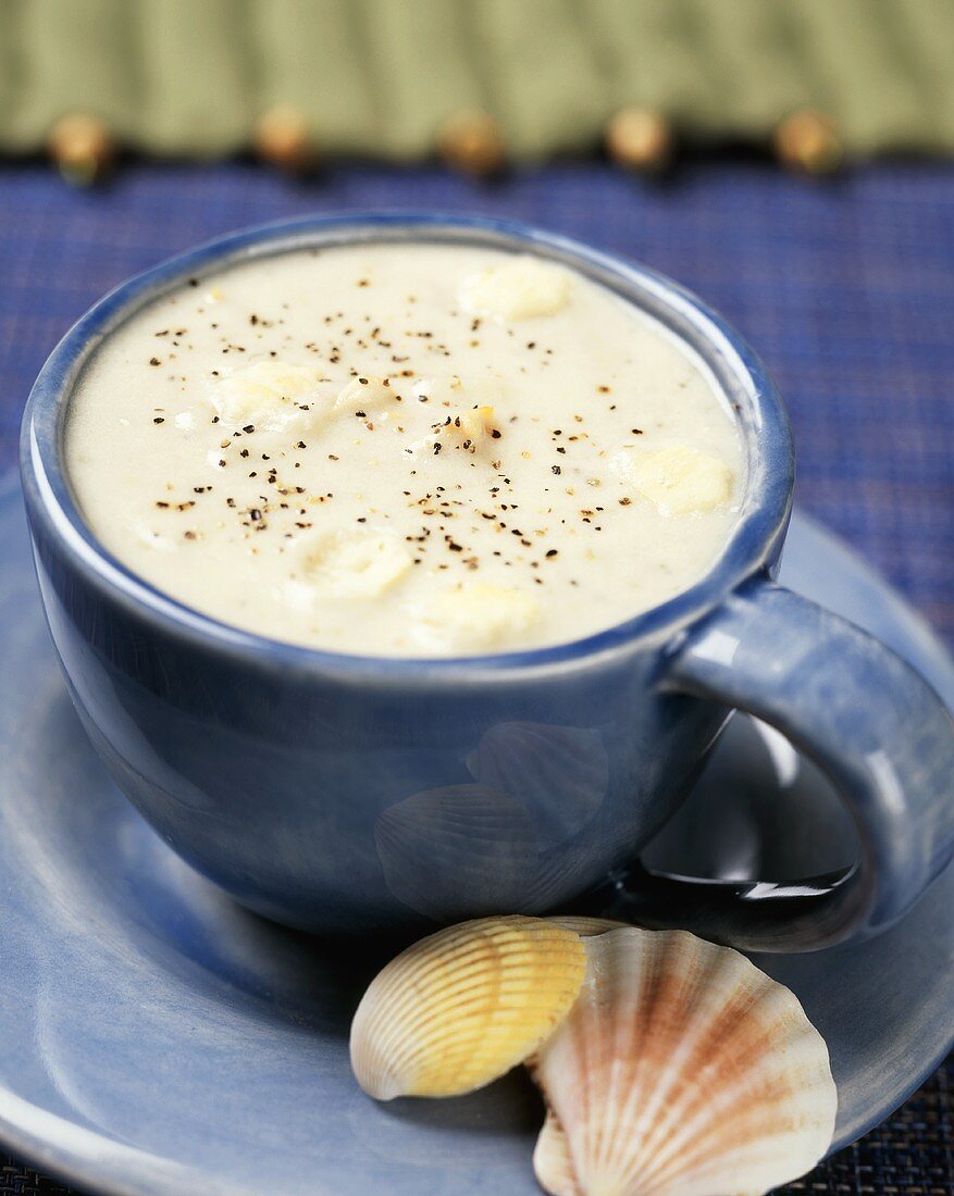 Clam Chowder (Muschelsuppe, New England, USA)