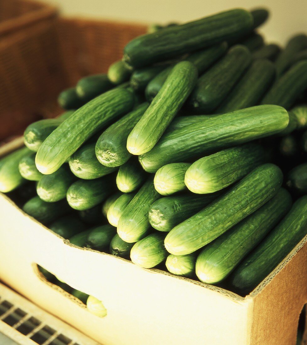 A Box of Organic Cucumbers