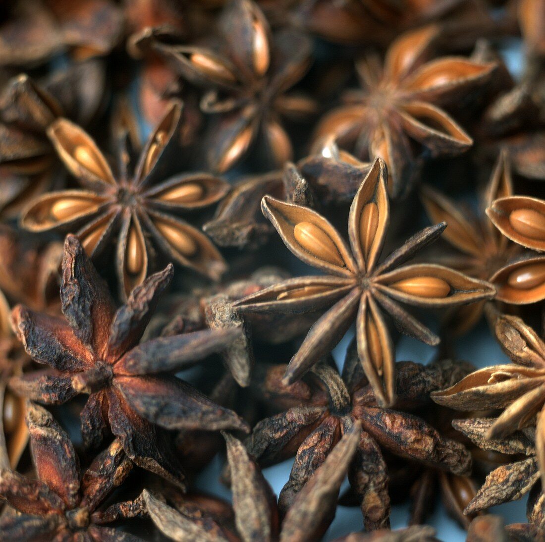 Star anise