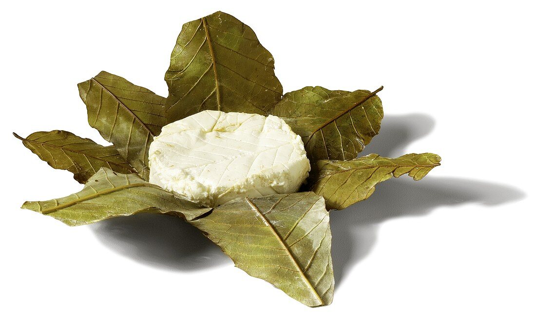 Sheep’s cheese in chestnut leaves