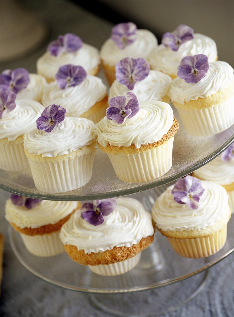 Cup-cakes with cream and violets