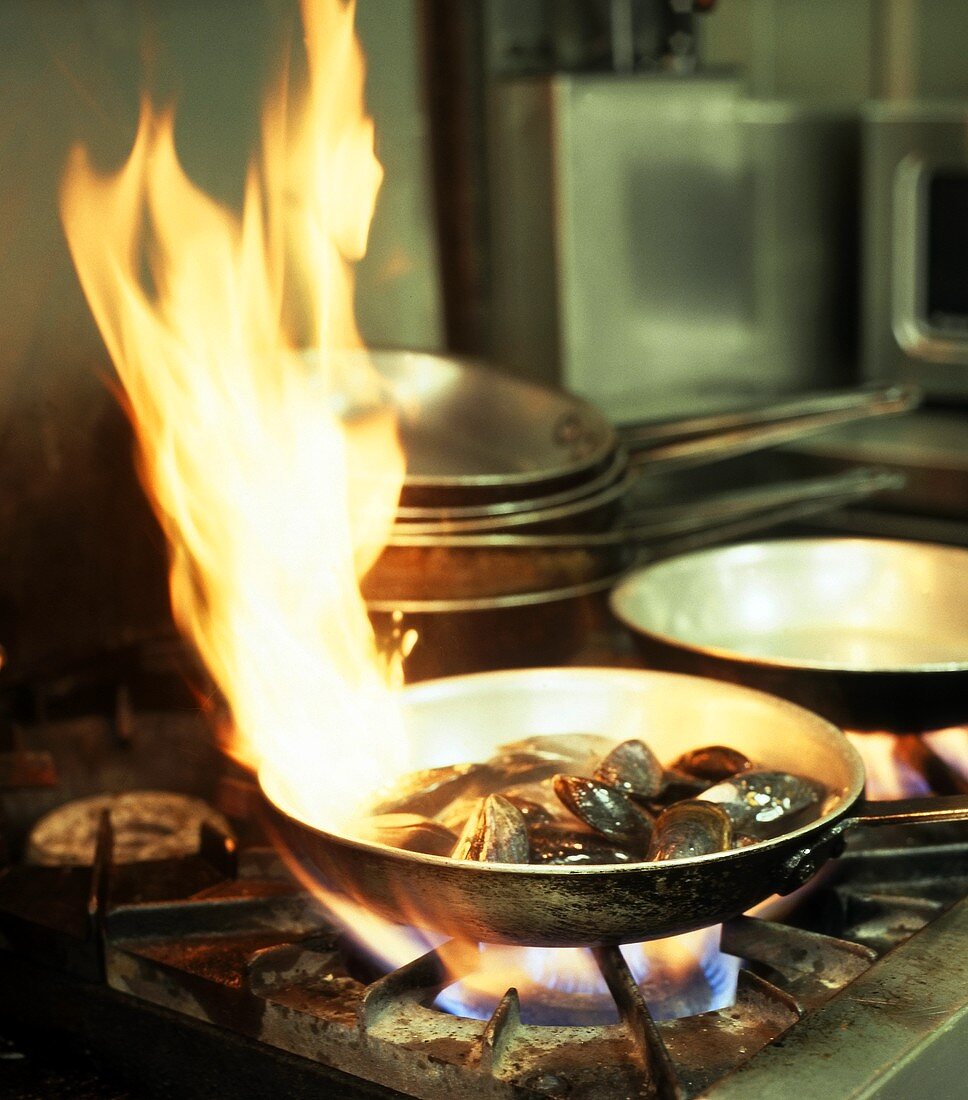 Mussels in pan on gas stove