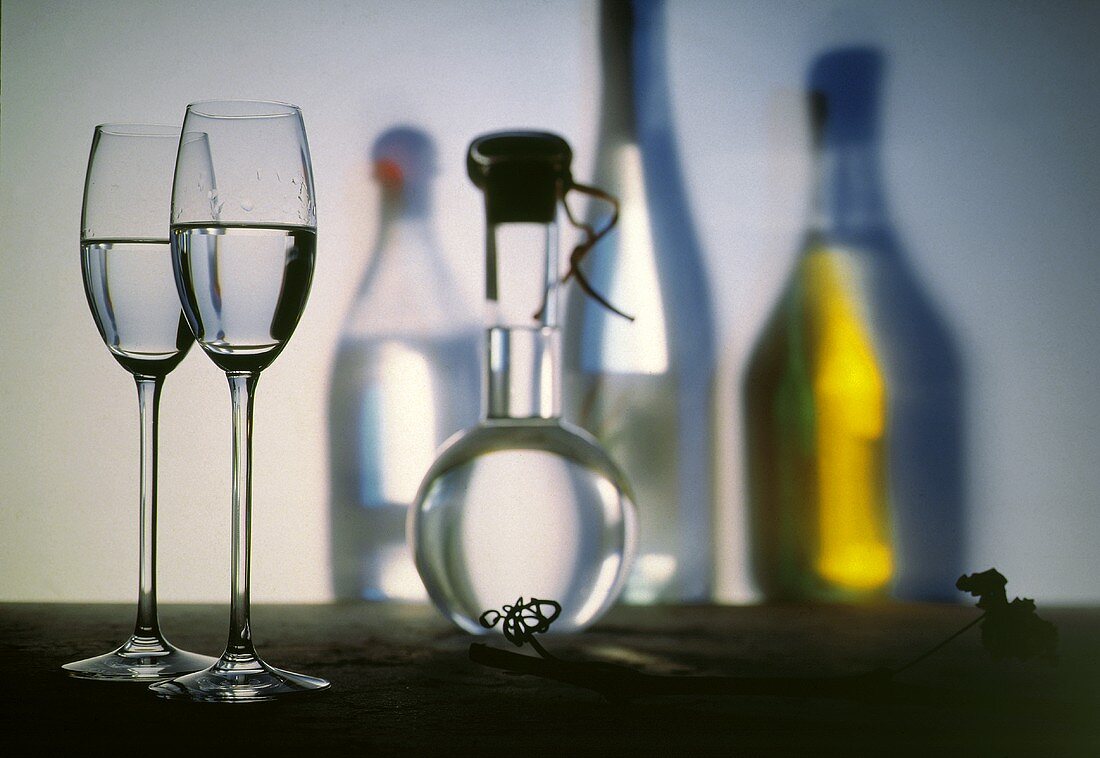Still Life with Grappa Bottles