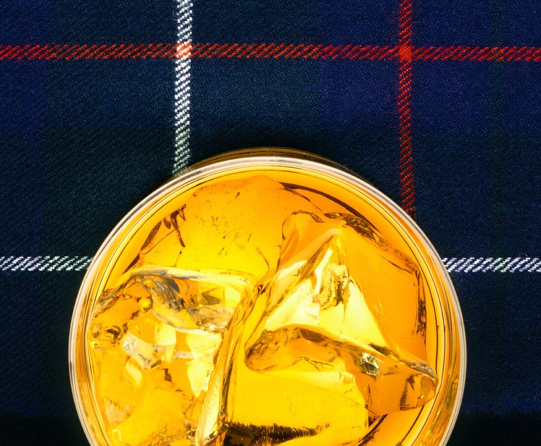 Ein Glas cotch Whiskey mit Eiswürfeln