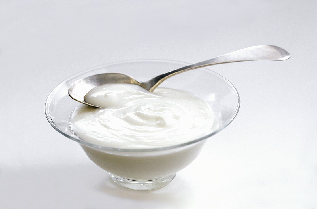 A Bowl of Plain Yogurt with Spoon