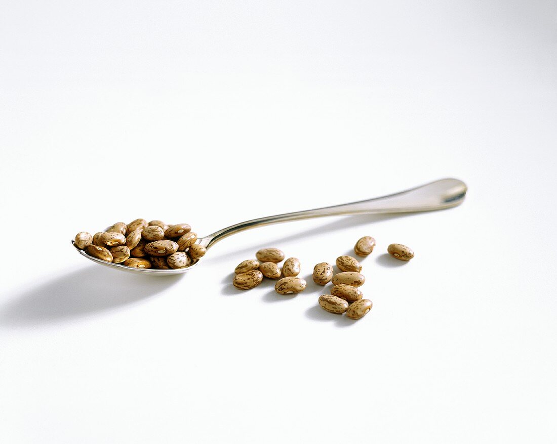 Dried Pinto Beans; Spoon