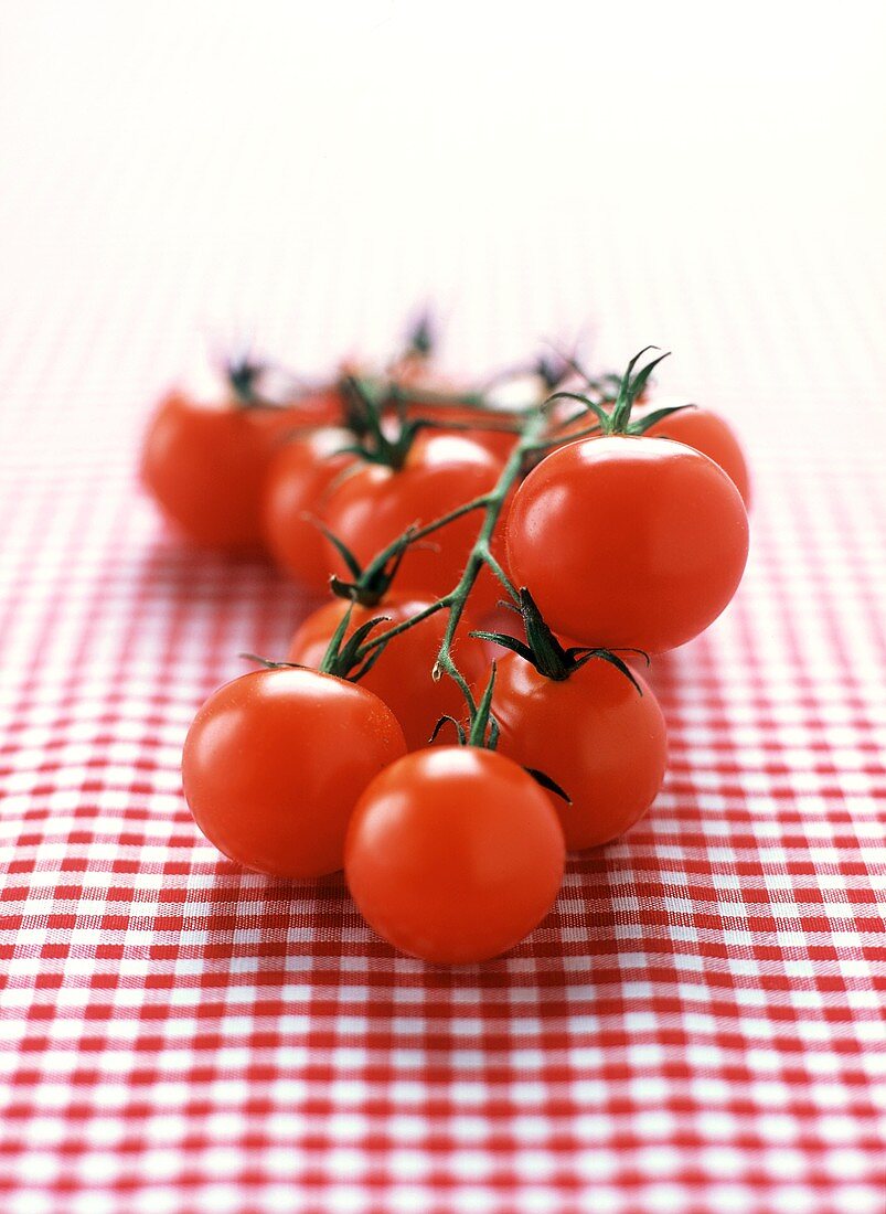 Kirschtomaten auf kariertem Tuch