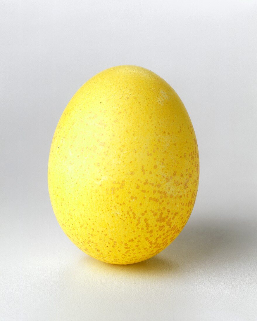 A Yellow Egg Close Up