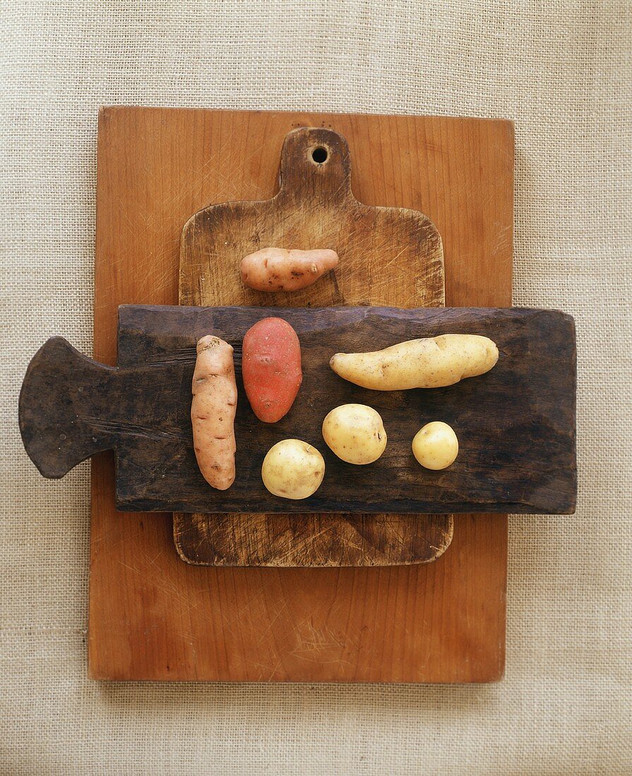 Various potato varieties