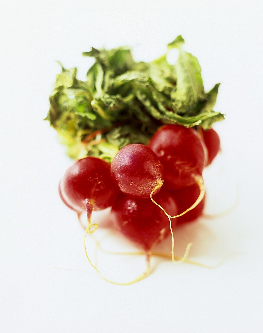 A Bunch of Red Radishes