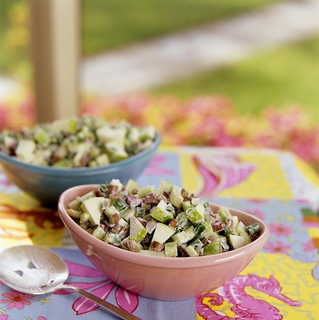 Pikanter Rhabarber-Apfel-Salat mit Frühlingszwiebeln