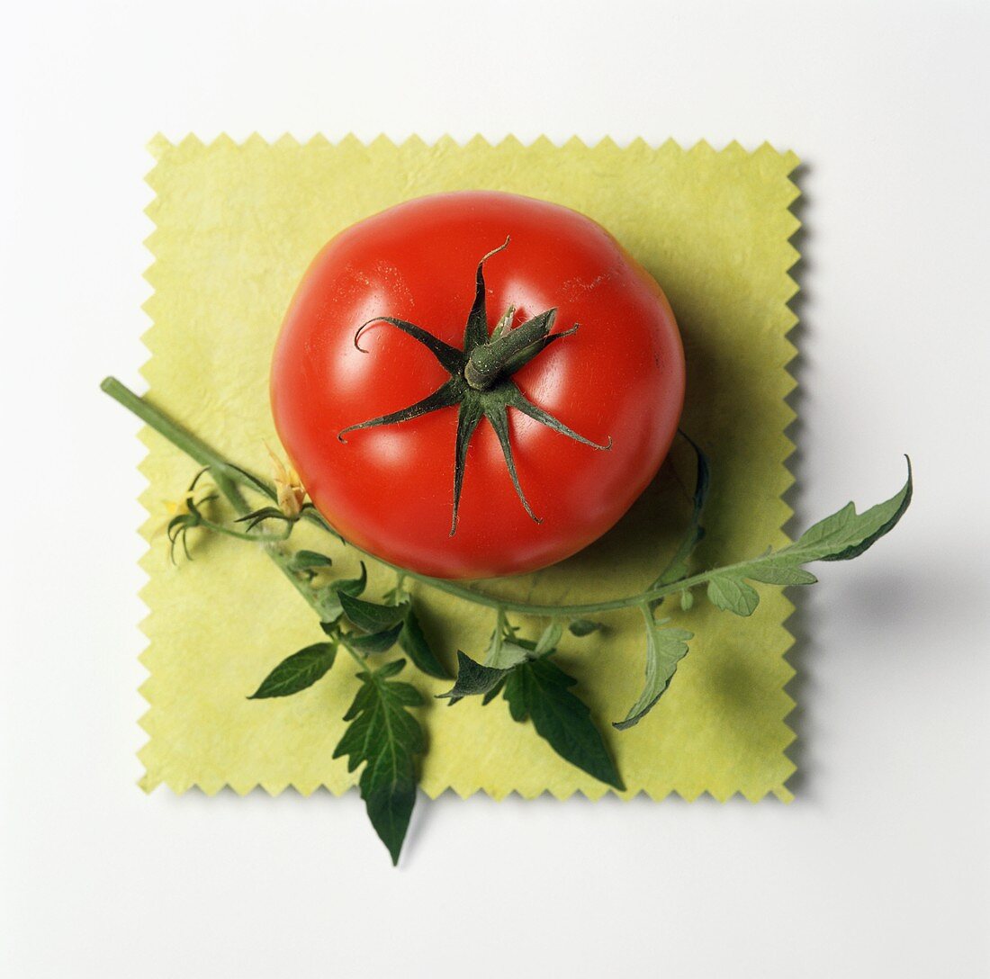 A Red Tomato on a Yellow Cloth with Leaves