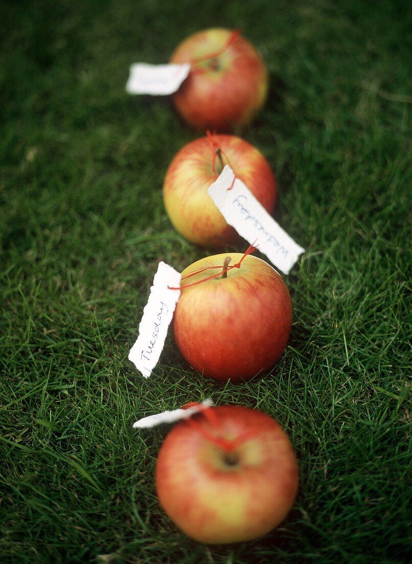 Äpfel im Gras mit Etiketten der Wochentage