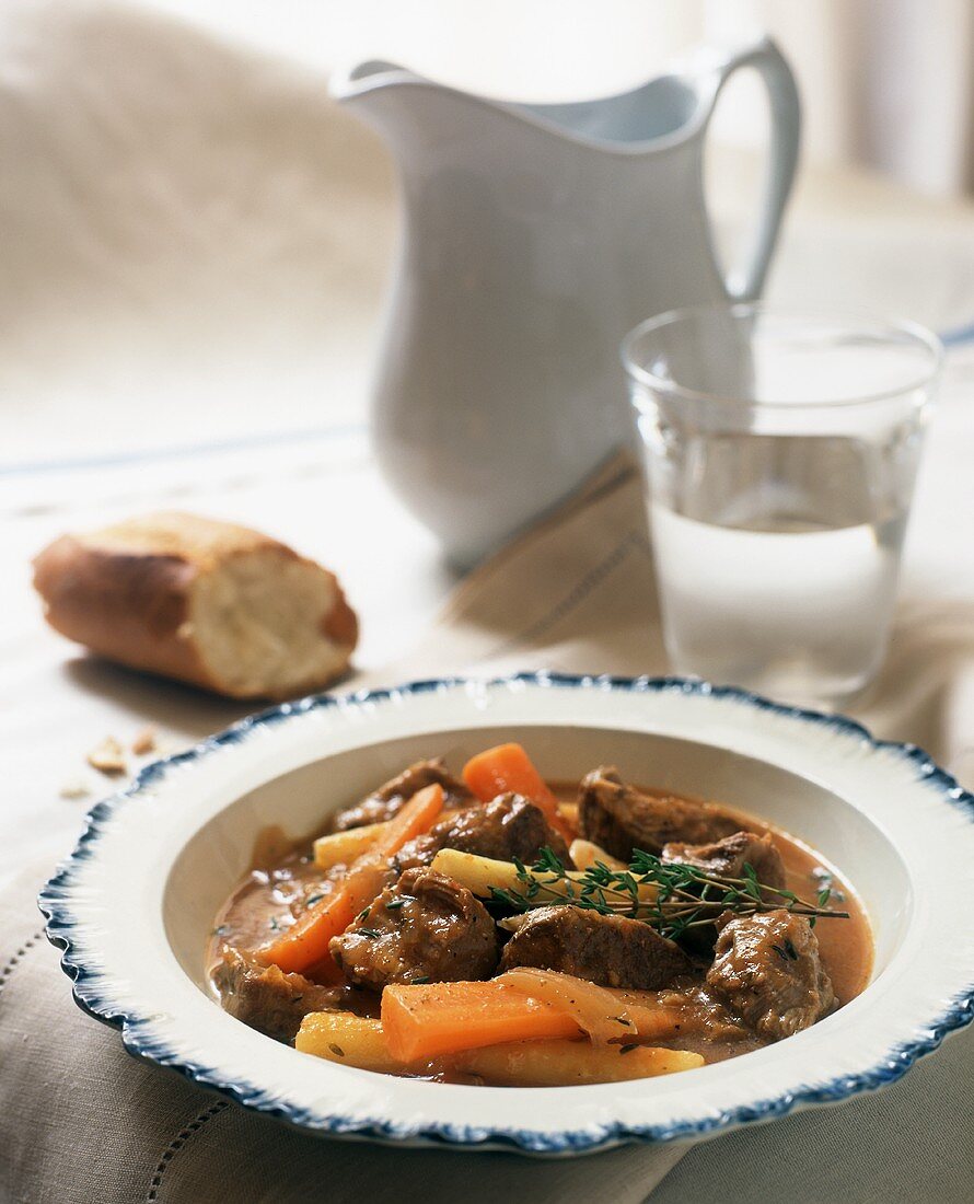 Beef ragout with carrots in soup plate
