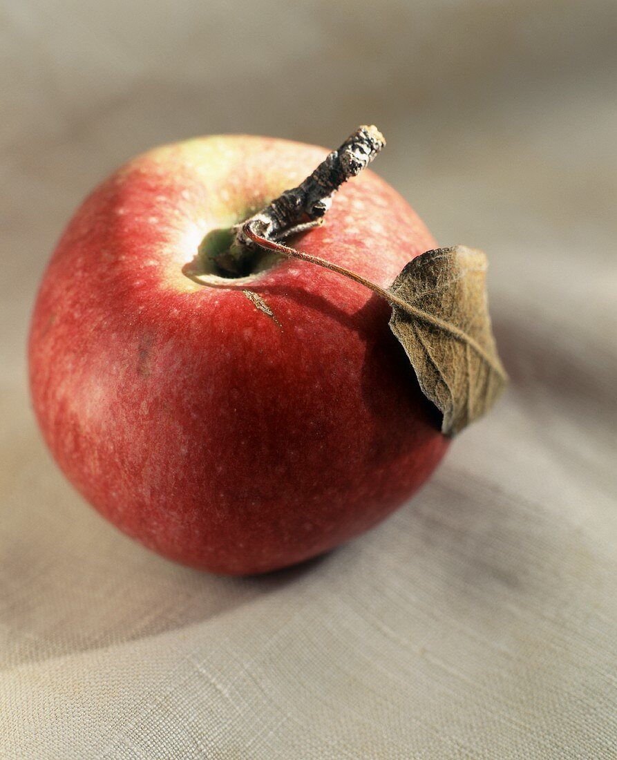 Roter Apfel mit Stiel und Blatt