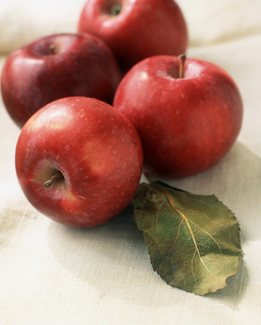 Vier rote Äpfel mit einem Blatt
