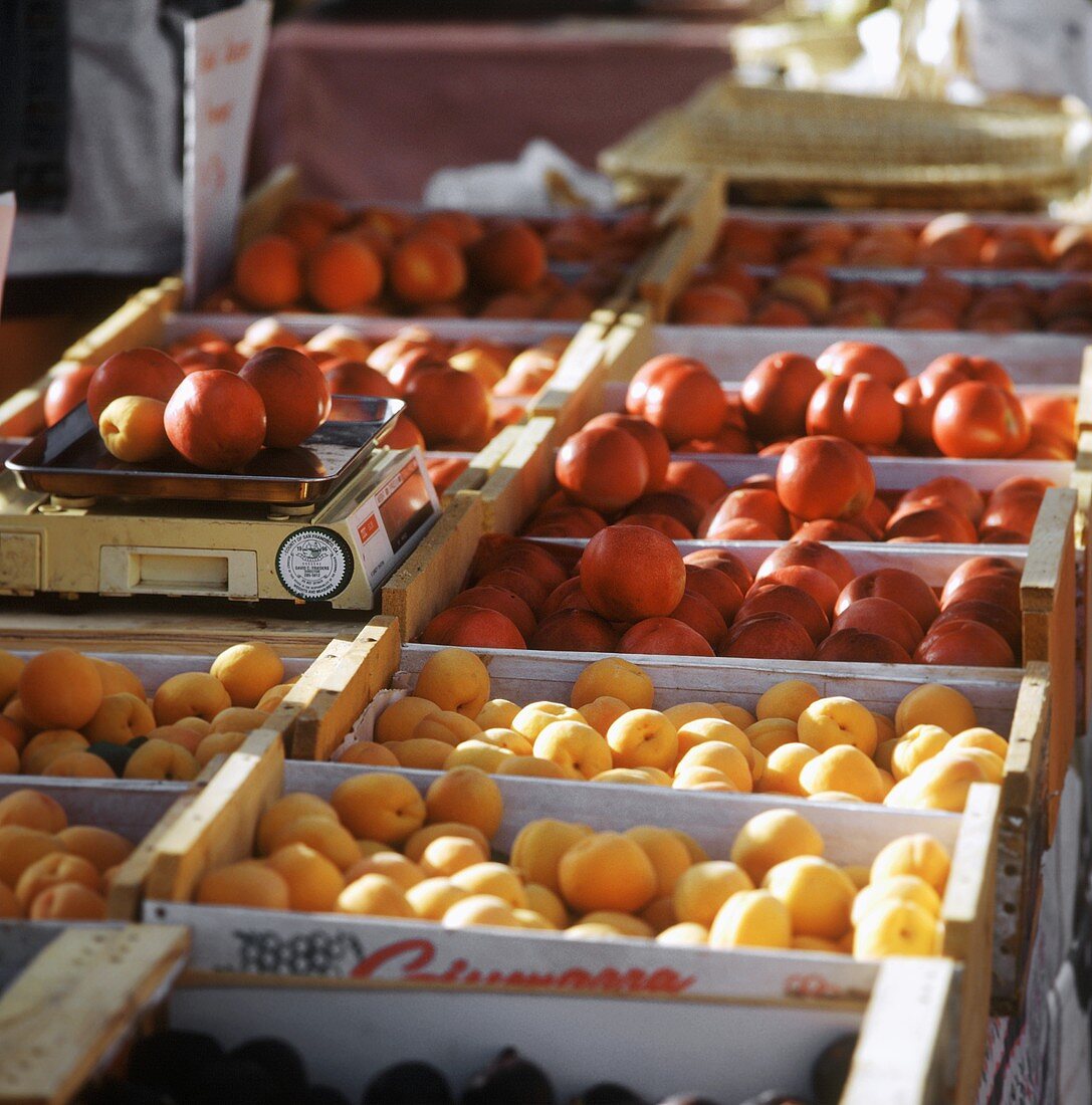 Aprikosen & Nektarinen in Kisten auf Markt