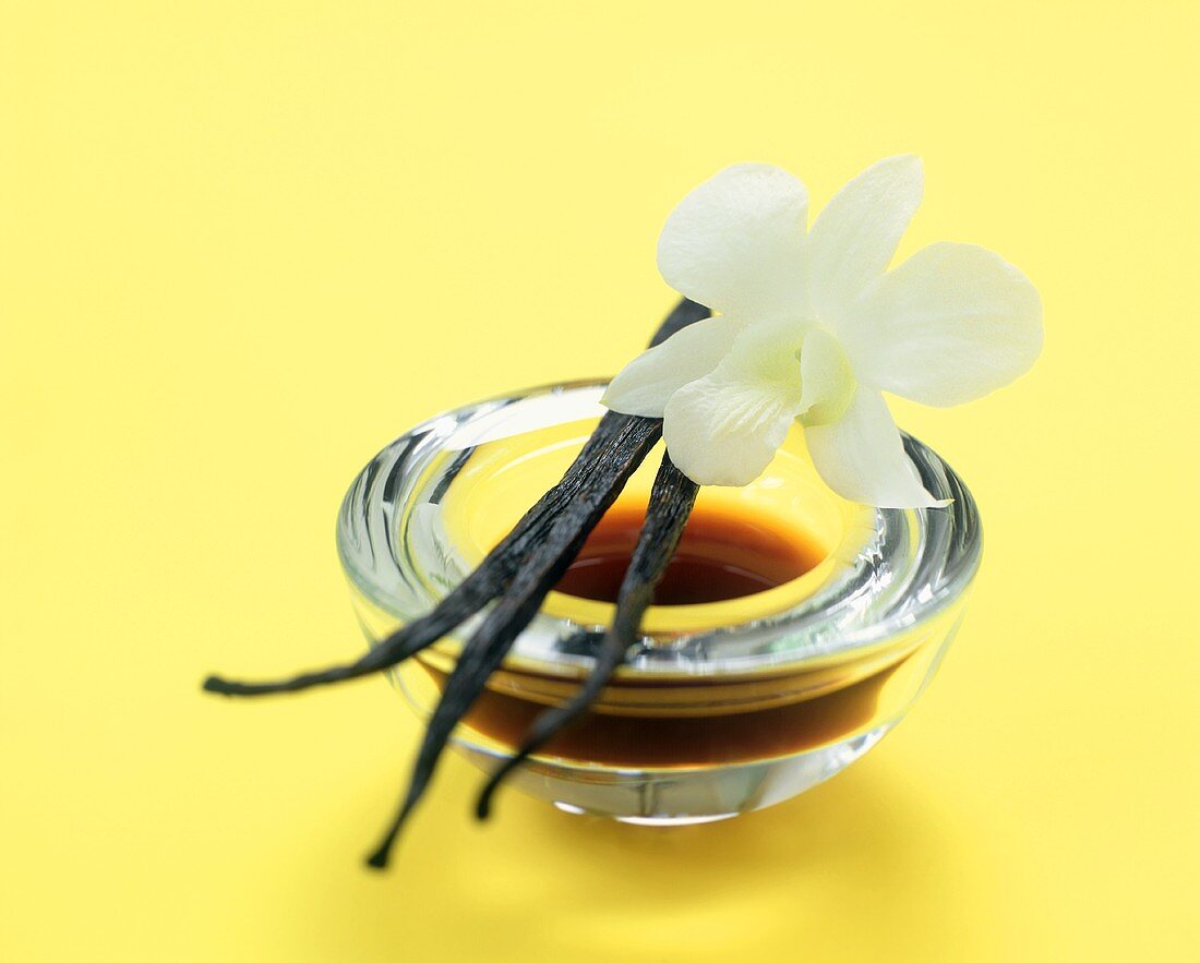 Vanilla Beans on a Bowl of Extract with White Orchid