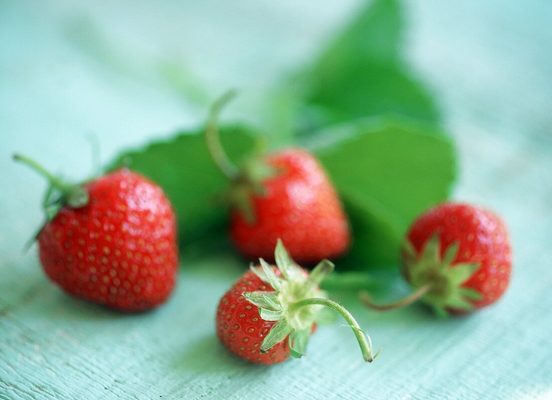 Vier reife Erdbeeren mit Blättern