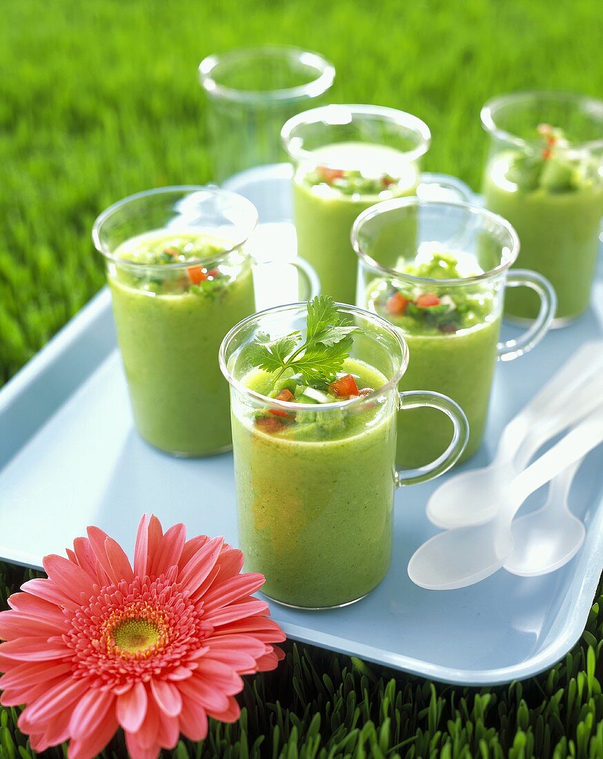 Grüne Gazpacho in Gläsern auf Tablett im Gras