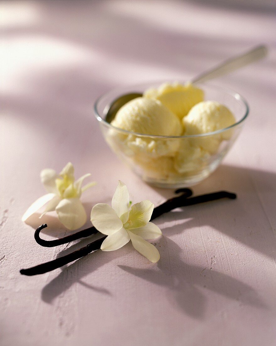 Vanilleeis in Schale mit Löffel; Vanilleschoten; Orchideen