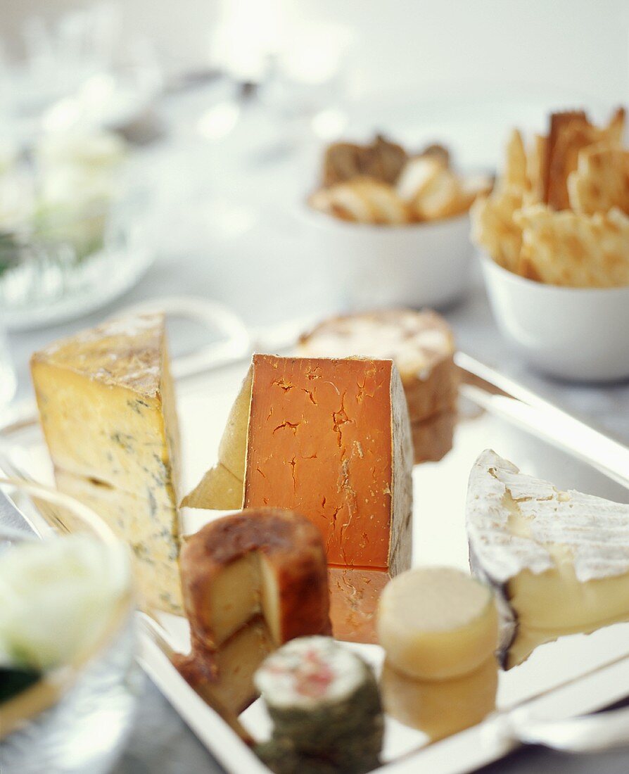 Assorted Cheeses on a Tray with Crackers